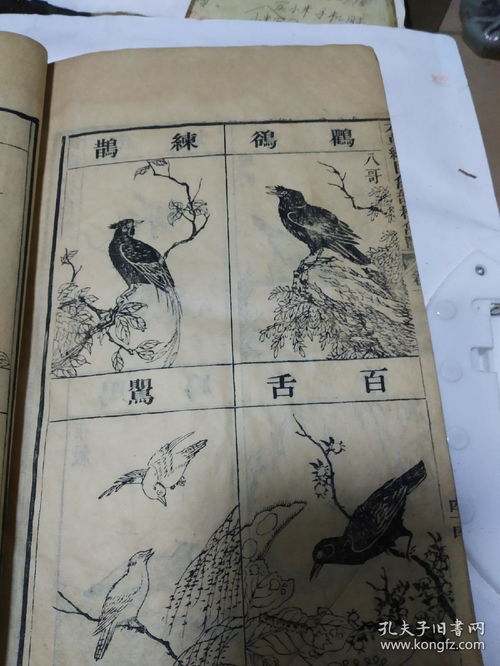 稀世本草 一套78卷全的《本草纲目》与赵氏遗珍首载考